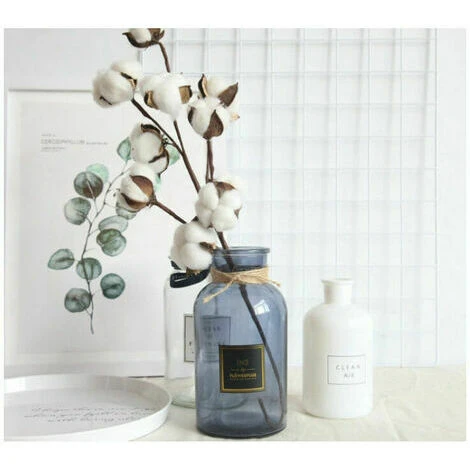 YOIURT 10 Fleurs De Coton Séchées, Branches De Kapok, Fleurs éternelles Séchées, Accessoires De Décoration De Bouquet De Bricolage En Coton Séché à La Main, Blanc, 5 YOIURT 10 Fleurs De Coton Séchées, Branches De Kapok, Fleurs éternelles Séchées, Accessoires De Décoration De Bouquet De Bricolage En Coton Séché à La Main, Blanc, – Image 3