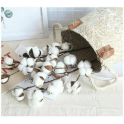 YOIURT 10 Fleurs De Coton Séchées, Branches De Kapok, Fleurs éternelles Séchées, Accessoires De Décoration De Bouquet De Bricolage En Coton Séché à La Main, Blanc, 10 YOIURT 10 Fleurs De Coton Séchées, Branches De Kapok, Fleurs éternelles Séchées, Accessoires De Décoration De Bouquet De Bricolage En Coton Séché à La Main, Blanc, -Pas Cher Flore Calme Magasin 87918389 4