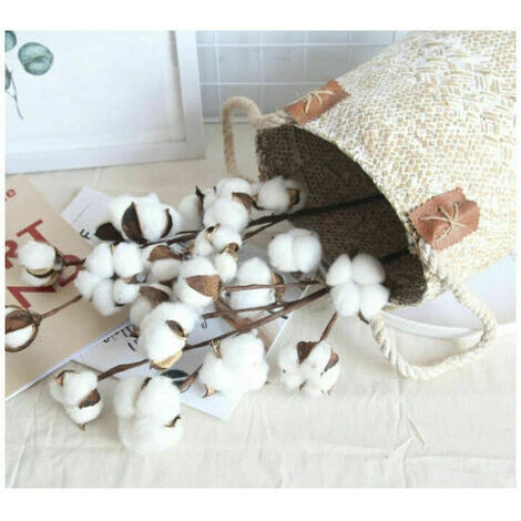 YOIURT 10 Fleurs De Coton Séchées, Branches De Kapok, Fleurs éternelles Séchées, Accessoires De Décoration De Bouquet De Bricolage En Coton Séché à La Main, Blanc, 6 YOIURT 10 Fleurs De Coton Séchées, Branches De Kapok, Fleurs éternelles Séchées, Accessoires De Décoration De Bouquet De Bricolage En Coton Séché à La Main, Blanc, – Image 4