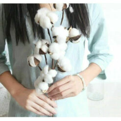 YOIURT 10 Fleurs De Coton Séchées, Branches De Kapok, Fleurs éternelles Séchées, Accessoires De Décoration De Bouquet De Bricolage En Coton Séché à La Main, Blanc, 11 YOIURT 10 Fleurs De Coton Séchées, Branches De Kapok, Fleurs éternelles Séchées, Accessoires De Décoration De Bouquet De Bricolage En Coton Séché à La Main, Blanc, -Pas Cher Flore Calme Magasin 87918389 5
