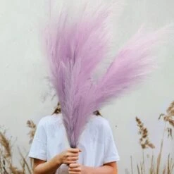 Lot De 3 Herbes De La Pampa Sechees Artificielle 110cm Deco Bohème Pour Mariage Salon Chambre - Violet -Pas Cher Flore Calme Magasin 88015655 4