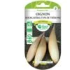 Graines Oignon Hourcadère Type De Trébons BIO Les Doigts Verts -Pas Cher Flore Calme Magasin 88690920 1