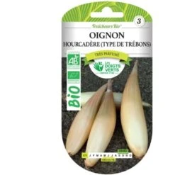 Graines Oignon Hourcadère Type De Trébons BIO Les Doigts Verts