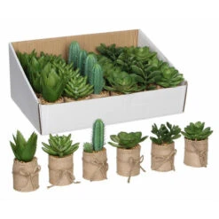 Plantes Grasses Artificielles En Sac
