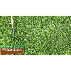 Véritable Micro-trèfle Gazon à Trés Petites Feuilles - Sachet De 500 G -Pas Cher Flore Calme Magasin 89967702 3