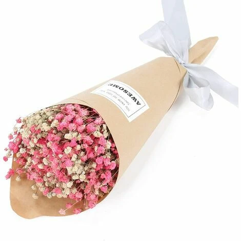 Bouquet De Fleurs Séchées Naturelles Bouquet De Fleurs Séchées De Gypsophile Arrangement De Fleurs Décoration D'intérieur 3 Bouquet De Fleurs Séchées Naturelles Bouquet De Fleurs Séchées De Gypsophile Arrangement De Fleurs Décoration D'intérieur