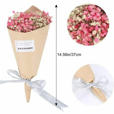 Bouquet De Fleurs Séchées Naturelles Bouquet De Fleurs Séchées De Gypsophile Arrangement De Fleurs Décoration D'intérieur 5 Bouquet De Fleurs Séchées Naturelles Bouquet De Fleurs Séchées De Gypsophile Arrangement De Fleurs Décoration D'intérieur – Image 3