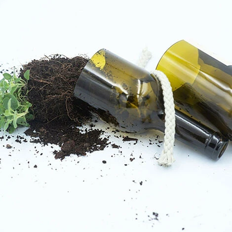 Kit Irrigation Menthe Prêt à Pousser 4 Kit Irrigation Menthe Prêt à Pousser – Image 2