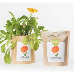 Sac Papier Prêt à Cultiver Calendula 8 Sac Papier Prêt à Cultiver Calendula -Pas Cher Flore Calme Magasin 91732994 3