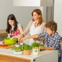 Sac Papier Prêt à Cultiver Calendula 9 Sac Papier Prêt à Cultiver Calendula -Pas Cher Flore Calme Magasin 91732994 4