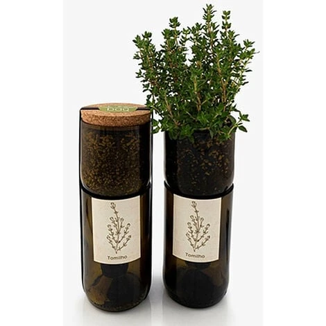 Kit Irrigation Thym Prêt à Pousser 3 Kit Irrigation Thym Prêt à Pousser