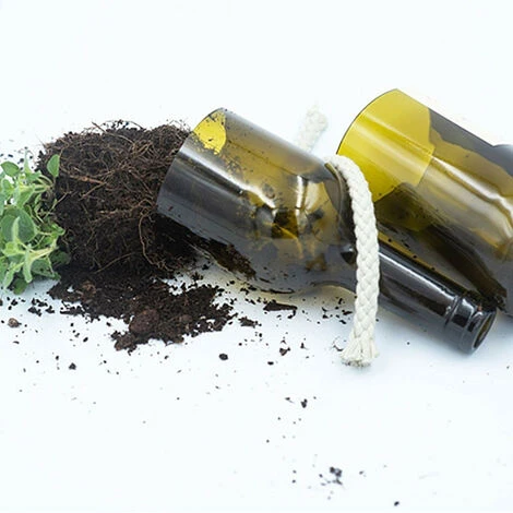 Kit Irrigation Thym Prêt à Pousser 4 Kit Irrigation Thym Prêt à Pousser – Image 2