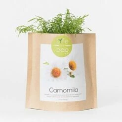 Sac Papier Prêt à Cultiver Camomille
