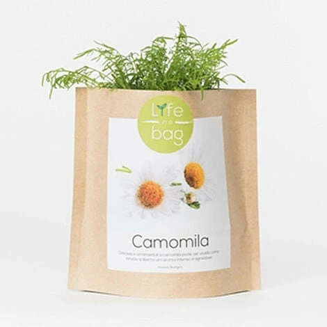 Sac Papier Prêt à Cultiver Camomille 3 Sac Papier Prêt à Cultiver Camomille
