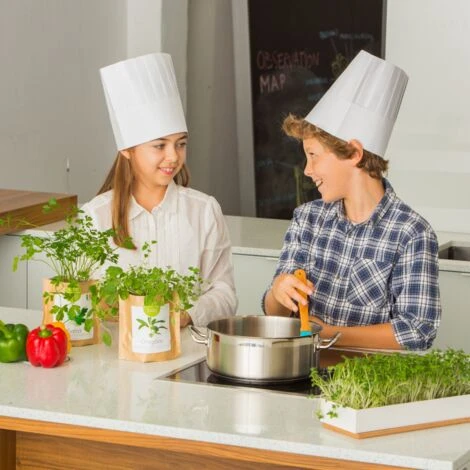 Sac Papier Prêt à Cultiver Camomille 5 Sac Papier Prêt à Cultiver Camomille – Image 3