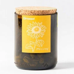 Kit Bouteille Prêt à Pousser Tournesol