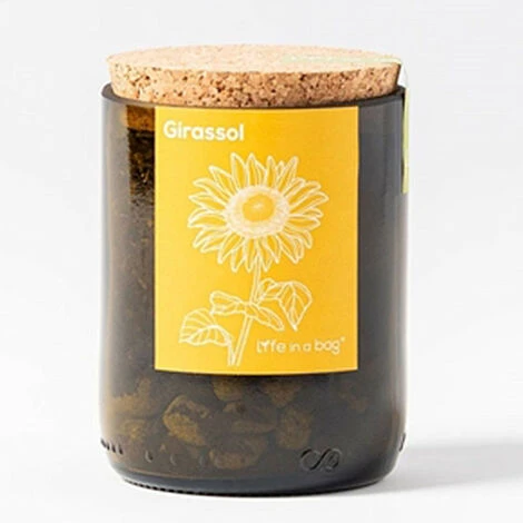 Kit Bouteille Prêt à Pousser Tournesol 3 Kit Bouteille Prêt à Pousser Tournesol