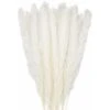 30 Pcs Herbe De La Pampa, 45 Cm Naturel Pampa Fleur Bouquet De Fleurs Sechees Pour Vases, Blanc Boho Decoration Chambre Maison Salon, Mariage Photographier Table Décoration-blanc -Pas Cher Flore Calme Magasin 91747182 1