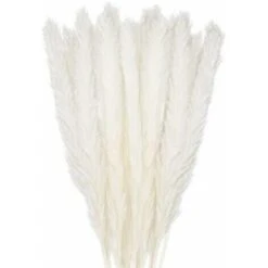 Pas Cher Flore Calme Magasin 16 30 Pcs Herbe De La Pampa, 45 Cm Naturel Pampa Fleur Bouquet De Fleurs Sechees Pour Vases, Blanc Boho Decoration Chambre Maison Salon, Mariage Photographier Table Décoration-blanc