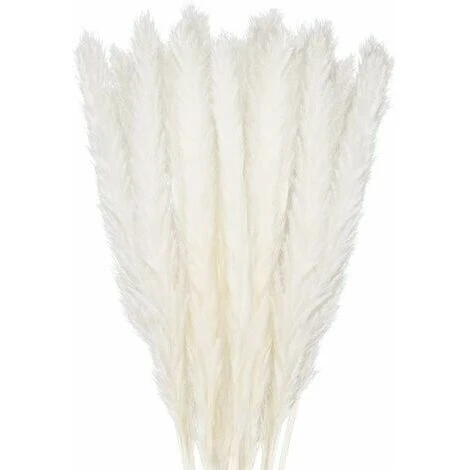 30 Pcs Herbe De La Pampa, 45 Cm Naturel Pampa Fleur Bouquet De Fleurs Sechees Pour Vases, Blanc Boho Decoration Chambre Maison Salon, Mariage Photographier Table Décoration-blanc 2 30 Pcs Herbe De La Pampa, 45 Cm Naturel Pampa Fleur Bouquet De Fleurs Sechees Pour Vases, Blanc Boho Decoration Chambre Maison Salon, Mariage Photographier Table Décoration-blanc