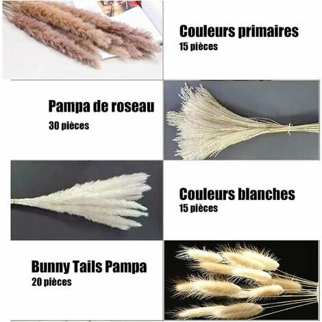 Herbe De La Pampa Naturelle Séchée 80Pcs,15Pcs Blanc 15Pcs Brun 30Pcs Roseau 20Pcs Queue De Lapin, Bouquet De Fleurs Séchées Pour La Décoration De La Maison, Du Mariage Et Du Style Boho 5 Herbe De La Pampa Naturelle Séchée 80Pcs,15Pcs Blanc 15Pcs Brun 30Pcs Roseau 20Pcs Queue De Lapin, Bouquet De Fleurs Séchées Pour La Décoration De La Maison, Du Mariage Et Du Style Boho – Image 3
