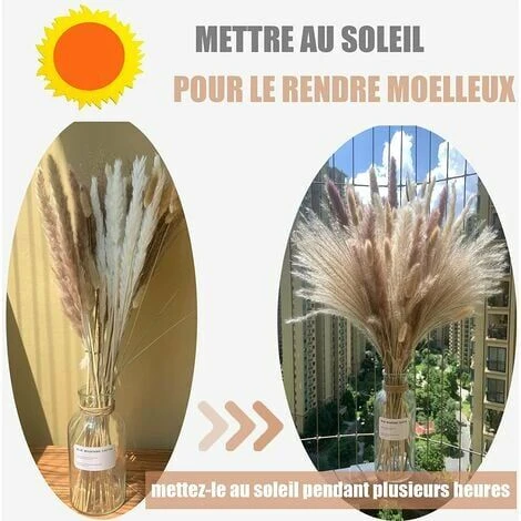 Herbe De La Pampa Naturelle Séchée 80Pcs,15Pcs Blanc 15Pcs Brun 30Pcs Roseau 20Pcs Queue De Lapin, Bouquet De Fleurs Séchées Pour La Décoration De La Maison, Du Mariage Et Du Style Boho 6 Herbe De La Pampa Naturelle Séchée 80Pcs,15Pcs Blanc 15Pcs Brun 30Pcs Roseau 20Pcs Queue De Lapin, Bouquet De Fleurs Séchées Pour La Décoration De La Maison, Du Mariage Et Du Style Boho – Image 4