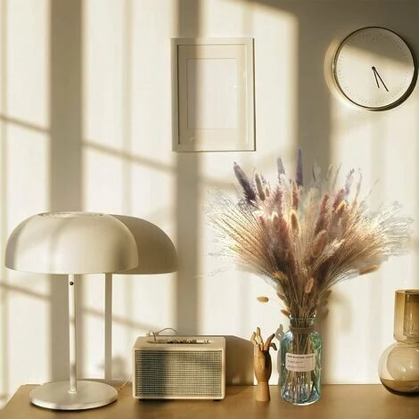 Herbe De La Pampa Naturelle Séchée 80Pcs,15Pcs Blanc 15Pcs Brun 30Pcs Roseau 20Pcs Queue De Lapin, Bouquet De Fleurs Séchées Pour La Décoration De La Maison, Du Mariage Et Du Style Boho 7 Herbe De La Pampa Naturelle Séchée 80Pcs,15Pcs Blanc 15Pcs Brun 30Pcs Roseau 20Pcs Queue De Lapin, Bouquet De Fleurs Séchées Pour La Décoration De La Maison, Du Mariage Et Du Style Boho – Image 5