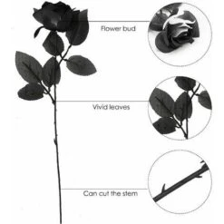 10 Pcs Rose Noire Fleur Artificielle Tige Simple Faux Fleurs De Soie Bouquet De Mariage De Marie, Flore De Fleur Raliste Pour La Maison Garden Party Htel Dcorations De Bureau 9 10 Pcs Rose Noire Fleur Artificielle Tige Simple Faux Fleurs De Soie Bouquet De Mariage De Marie, Flore De Fleur Raliste Pour La Maison Garden Party Htel Dcorations De Bureau -Pas Cher Flore Calme Magasin 92004374 4