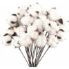 LTS FAFA 40 Pack Fleurs De Coton Naturelle Fleurs Sechees Tige Coton Fleur Naturel Fausses Branches Coton Fausses Plantes Décoration Maison 2 LTS FAFA 40 Pack Fleurs De Coton Naturelle Fleurs Sechees Tige Coton Fleur Naturel Fausses Branches Coton Fausses Plantes Décoration Maison -Pas Cher Flore Calme Magasin 93244752 1