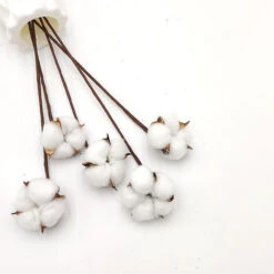 LTS FAFA 40 Pack Fleurs De Coton Naturelle Fleurs Sechees Tige Coton Fleur Naturel Fausses Branches Coton Fausses Plantes Décoration Maison -Pas Cher Flore Calme Magasin 93244752 2