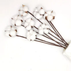 LTS FAFA 40 Pack Fleurs De Coton Naturelle Fleurs Sechees Tige Coton Fleur Naturel Fausses Branches Coton Fausses Plantes Décoration Maison -Pas Cher Flore Calme Magasin 93244752 5