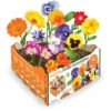 Boîte De Fleurs Comestibles Batlle -Pas Cher Flore Calme Magasin 93291090 1