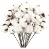 Lot De 20 Fleurs De Coton Naturel Fleurs Séchées Tige De Coton Fleurs Naturelles Faux Brindilles De Coton Faux 2 Lot De 20 Fleurs De Coton Naturel Fleurs Séchées Tige De Coton Fleurs Naturelles Faux Brindilles De Coton Faux -Pas Cher Flore Calme Magasin 94108686 1