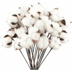 Lot De 20 Fleurs De Coton Naturel Fleurs Séchées Tige De Coton Fleurs Naturelles Faux Brindilles De Coton Faux