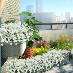 Plante Fleurie Artificielle　Plantes Et Fleurs Artificielles D'extérieur Résistantes Aux UV - Blanc 8PCS -Pas Cher Flore Calme Magasin 94301641 3