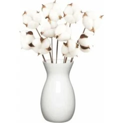 10 Pack Fleurs De Coton Sechee Naturelle Fleurs Sechees Tige Coton Fleur Naturel Fausses Branches Coton Fausses Plantes Décoration Pour Balcon Maison Table Composition Florale