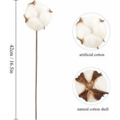 10 Pack Fleurs De Coton Sechee Naturelle Fleurs Sechees Tige Coton Fleur Naturel Fausses Branches Coton Fausses Plantes Décoration Pour Balcon Maison Table Composition Florale 10 10 Pack Fleurs De Coton Sechee Naturelle Fleurs Sechees Tige Coton Fleur Naturel Fausses Branches Coton Fausses Plantes Décoration Pour Balcon Maison Table Composition Florale -Pas Cher Flore Calme Magasin 94927332 4