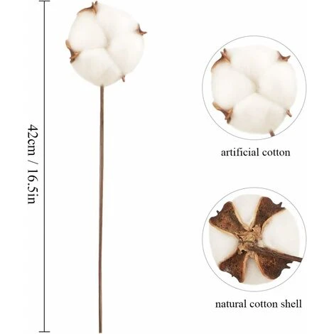 10 Pack Fleurs De Coton Sechee Naturelle Fleurs Sechees Tige Coton Fleur Naturel Fausses Branches Coton Fausses Plantes Décoration Pour Balcon Maison Table Composition Florale 6 10 Pack Fleurs De Coton Sechee Naturelle Fleurs Sechees Tige Coton Fleur Naturel Fausses Branches Coton Fausses Plantes Décoration Pour Balcon Maison Table Composition Florale – Image 4