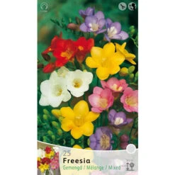 FREESIA SINGLE MIX (PACK DE 25 AMPOULES)