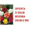OFFRE 21 BÉGONIA BULBES DOUBLE MIX 1 OFFRE 21 BÉGONIA BULBES DOUBLE MIX -Pas Cher Flore Calme Magasin 95158475 1