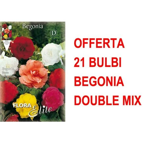 OFFRE 21 BÉGONIA BULBES DOUBLE MIX 3 OFFRE 21 BÉGONIA BULBES DOUBLE MIX