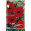 DAHLIA PIVOINE FLEURIE BISHOP OF LLANDAFF (PACK DE 1 BULBE) -Pas Cher Flore Calme Magasin 95161167 1