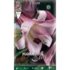 LILIUM TROMPETTE ROSE PERFECTION (PACK DE 1 AMPOULE) -Pas Cher Flore Calme Magasin 95161359 1