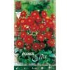 DAHLIA ROUGE TOPMIX (LOT DE 1 BULBE) 2 DAHLIA ROUGE TOPMIX (LOT DE 1 BULBE) -Pas Cher Flore Calme Magasin 95162148 1