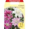 LILIUM FLEUR ORIENTAL DOUBLE MIX DE COULEURS (LOT DE 5 BULBES) -Pas Cher Flore Calme Magasin 95162381 1