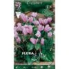 CYCLAMEN CYCLAMEN HEDERIFOLIUM (LOT DE 3 BULBES) -Pas Cher Flore Calme Magasin 95162429 1