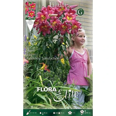 LILIUM GIGANTE SATISFACTION (LOT DE 2 AMPOULES) 3 LILIUM GIGANTE SATISFACTION (LOT DE 2 AMPOULES)