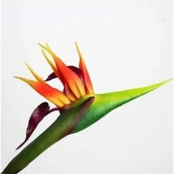 Lot De 3 Grands Oiseaux De Paradis - 81.3 Cm - Fleurs Permanentes Résistantes Aux UV - Ne Se Décolorent Pas - Fabriquées En Caoutchouc Souple - Plantes Artificielles Pour La Maison, Le Bureau -Pas Cher Flore Calme Magasin 95286034 4