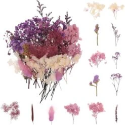 (Violet) Bouquet De Fleurs Séchées Naturelles Décoration De Fleurs Pressées Pour Le Bricolage Décoration De Fleurs En époxy Nail Art Bricolage Bougie Scrapbooking