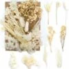 (blanc) Fleurs Séchées, Fleurs Naturelles Mélangées, Sets De Fleurs Séchées, Fleurs Naturelles Pressées Colorées Pour La Décoration De Bougies, L'artisanat, Le Scrapbooking, Les Marque-pages